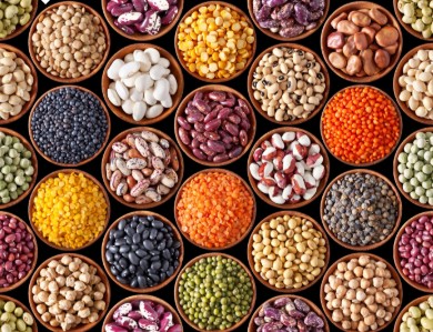 Grains and Pulses
